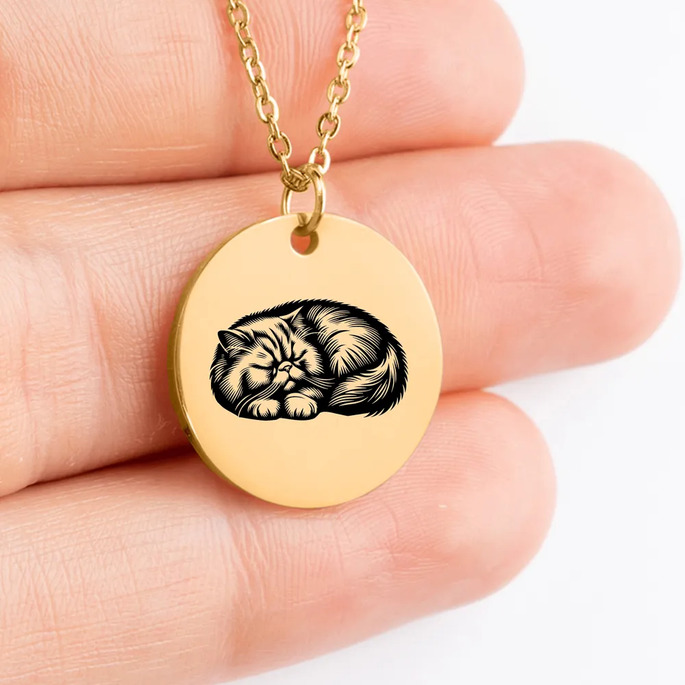 Exquisite Persian Cat medallion necklace, a beautiful keepsake